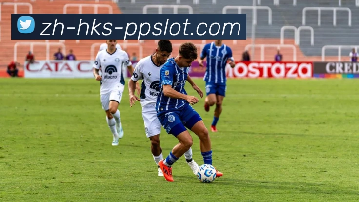 PP奥林匹斯之门官网服务体系