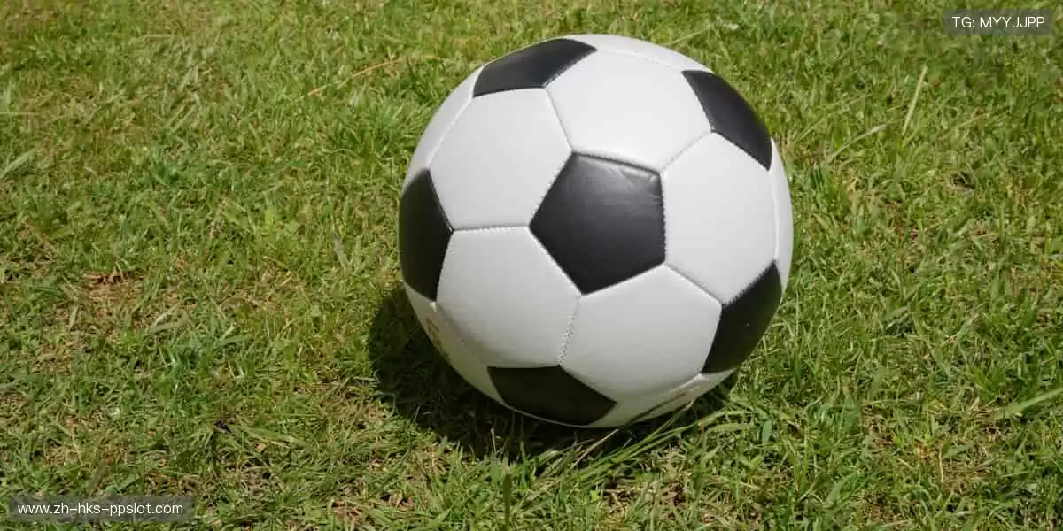 📺 实时直击，让热爱零距离！